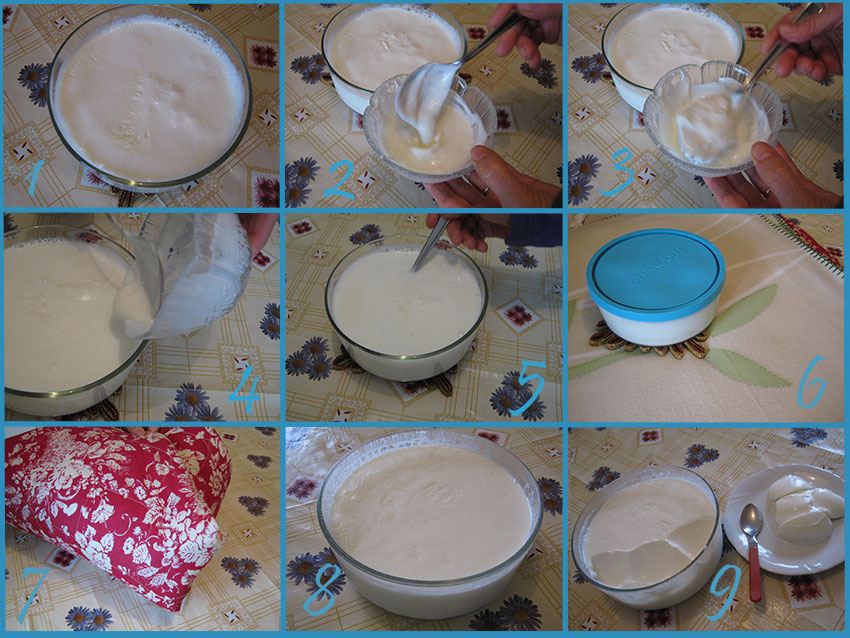 Come fare lo yogurt in casa